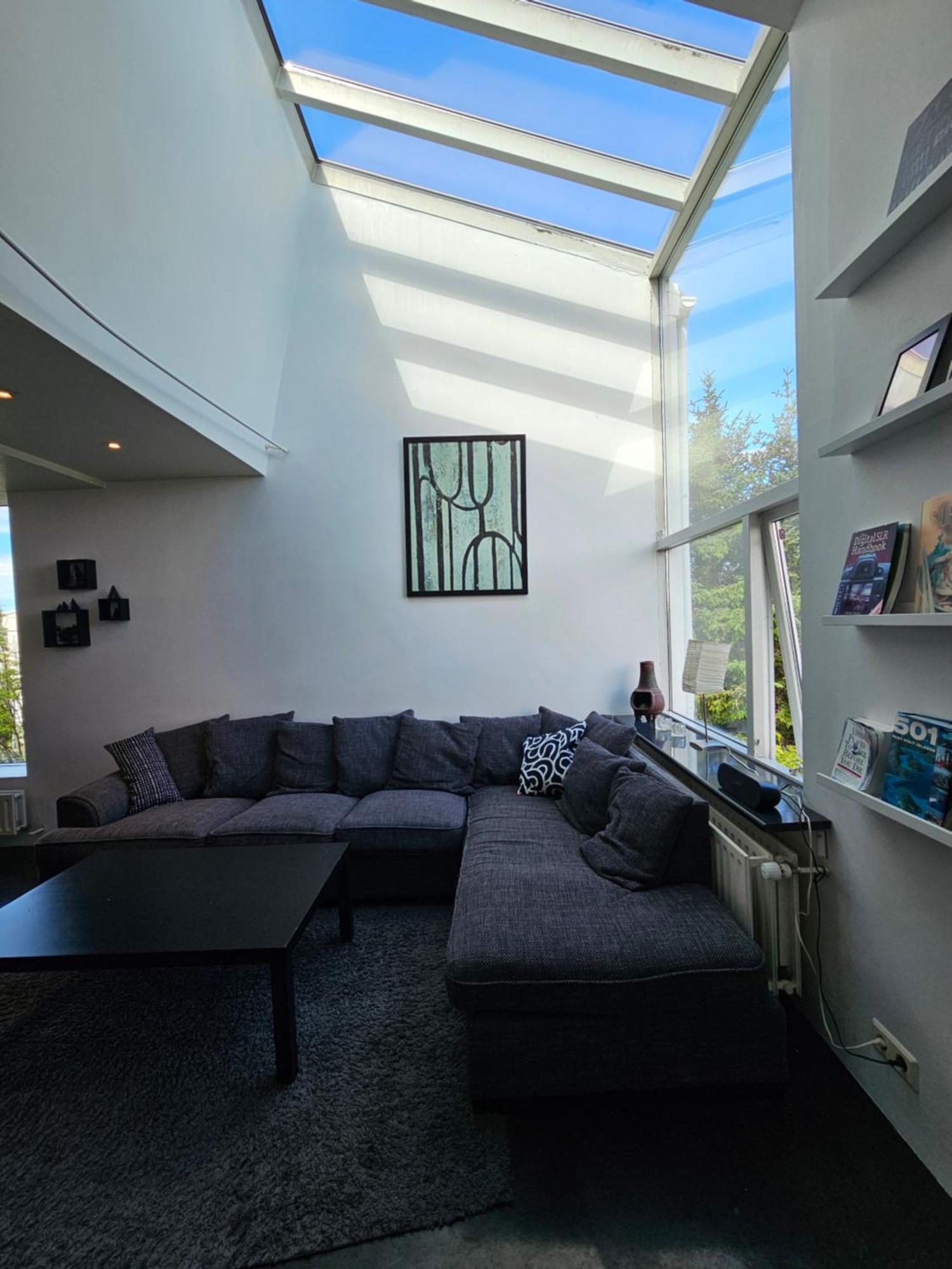 Loft - Center Appartement Reykjavik